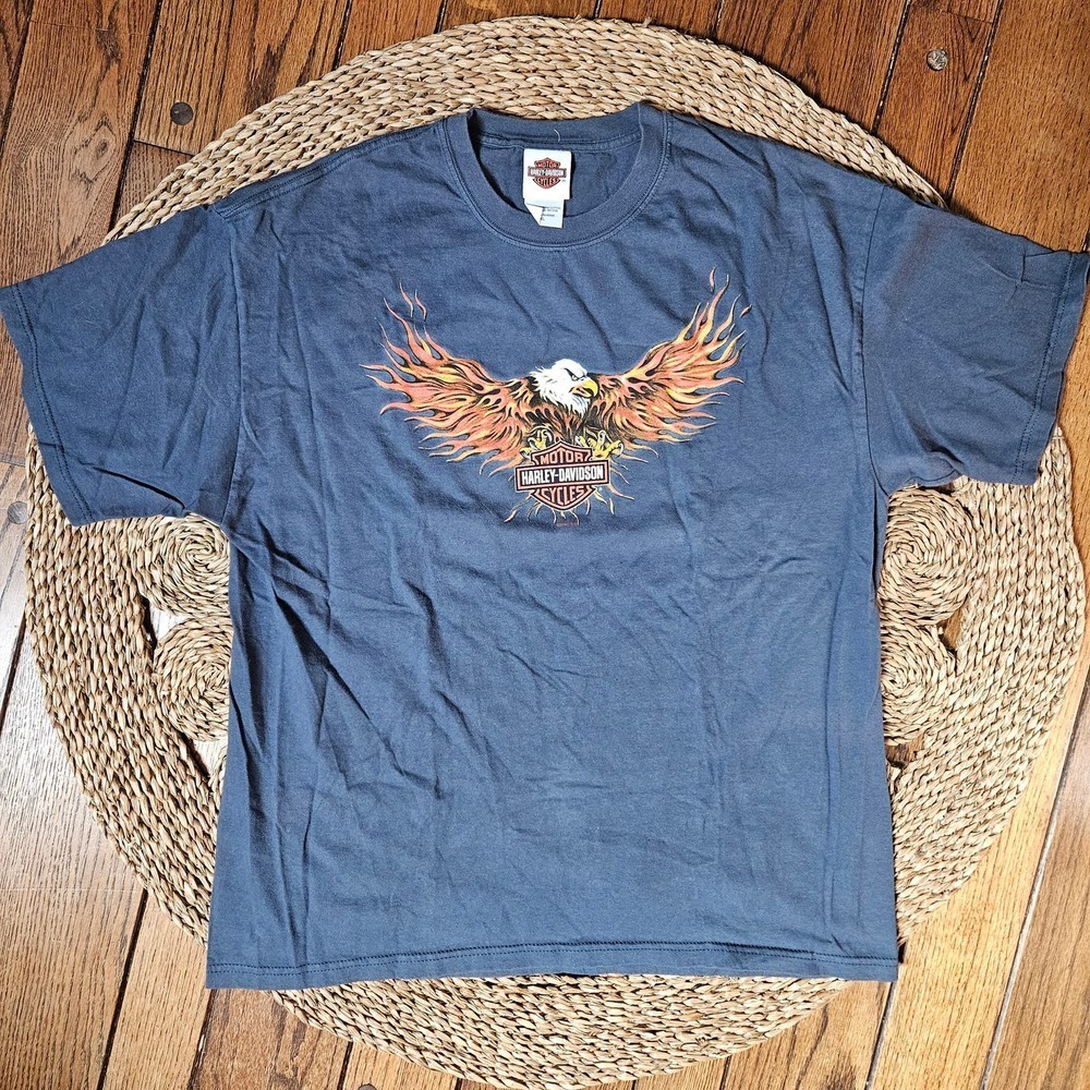 Rare Men's Harley-Davidson Short Sleeve Tee Size XL - Shenandoah Valley, VA